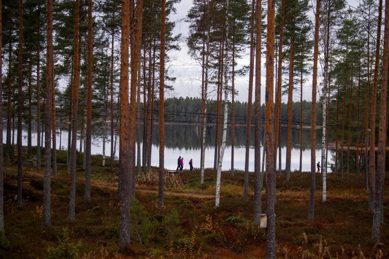 Mesikaemmen